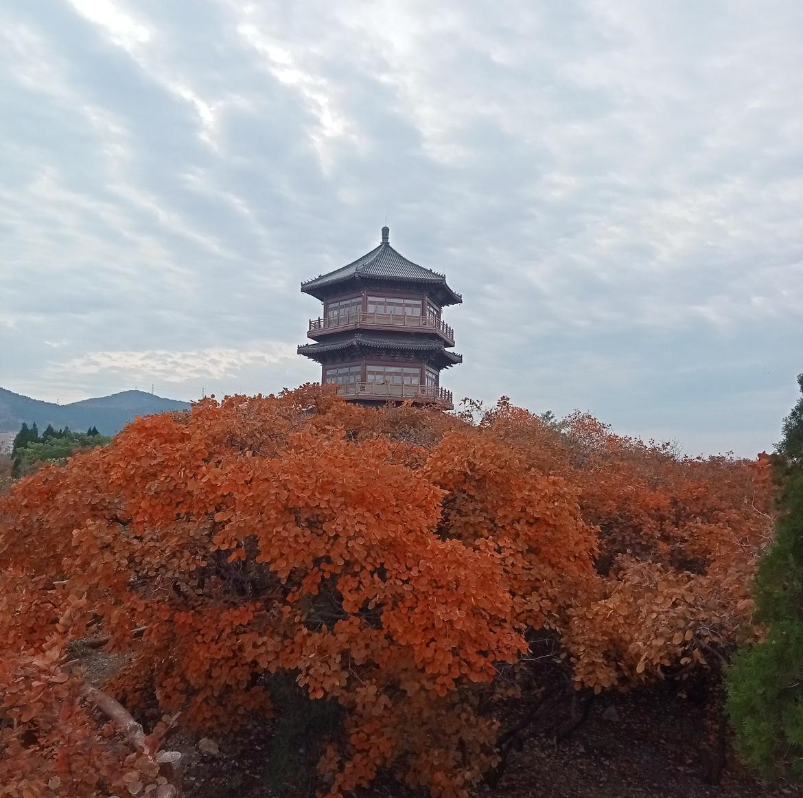 退休的老年人适合去哪里旅游旅游是每个人的爱好，有的喜欢到全国各地看看祖国的大好河