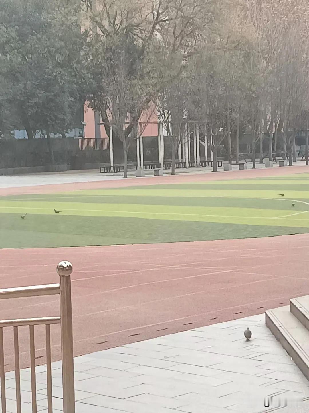 人生初体验之北京地铁三号线！[比心]

我这次外出开会，目的地是哈尔滨。助理买的