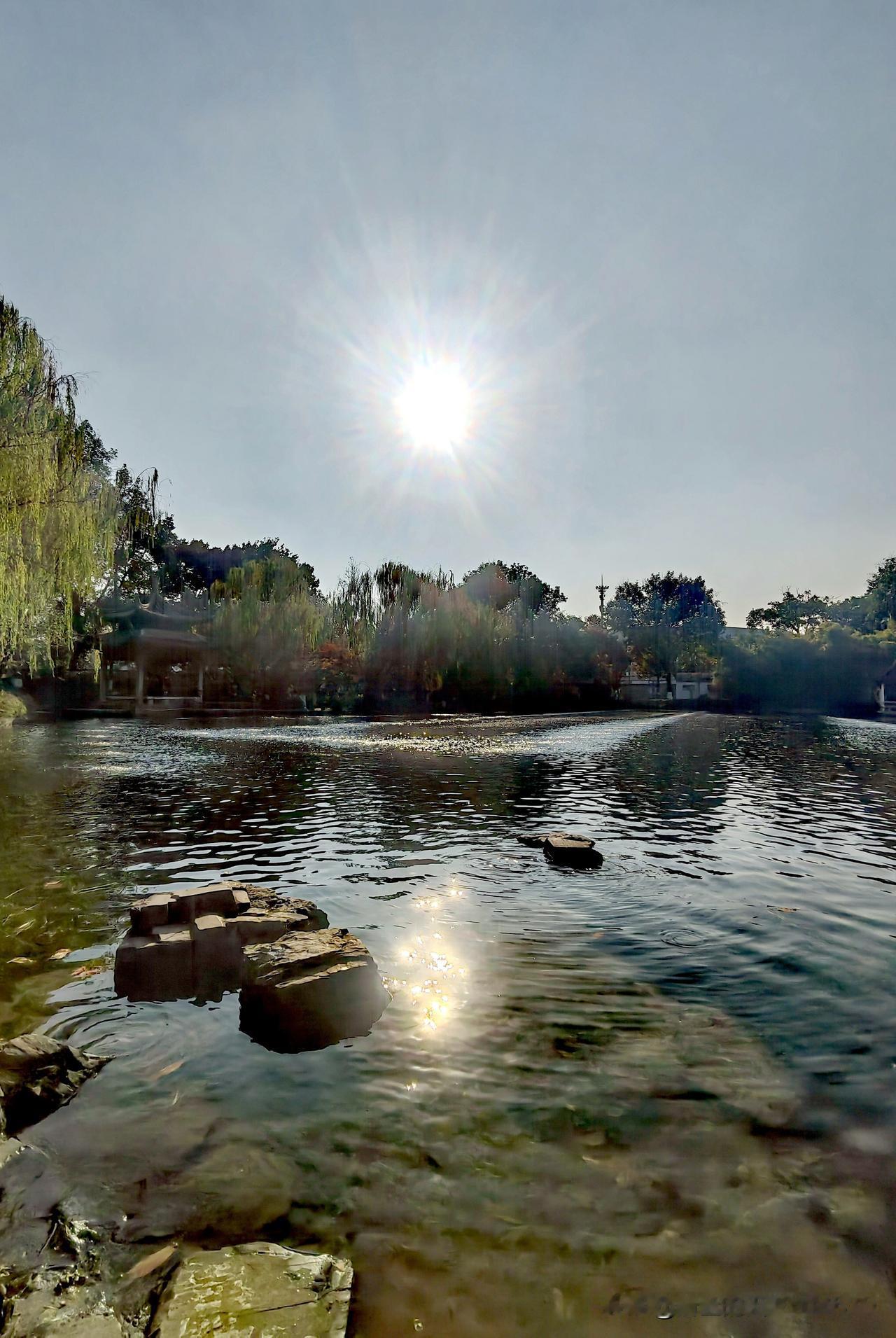 阳光倾洒在湖面，泛起粼粼波光，宁静又美好，这般场景总能让人的心刹那间沉静下来。在
