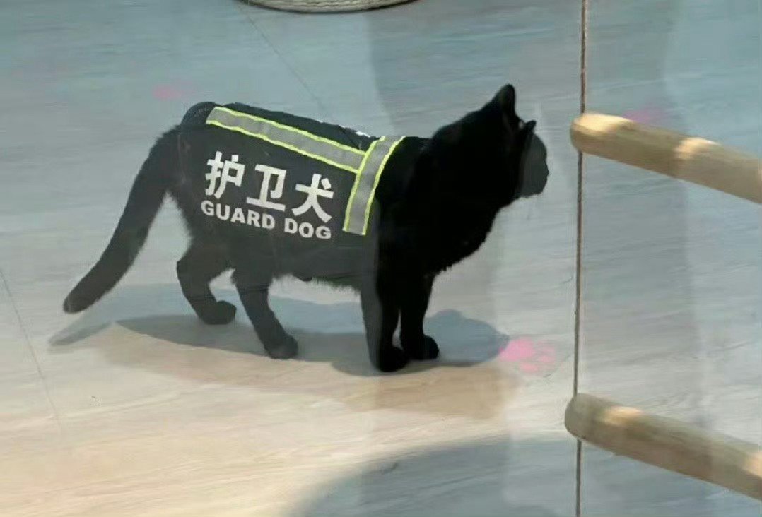 完全昀 