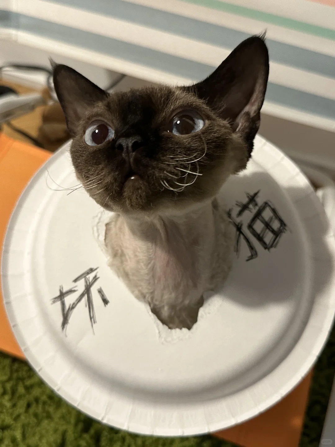 通报批评！