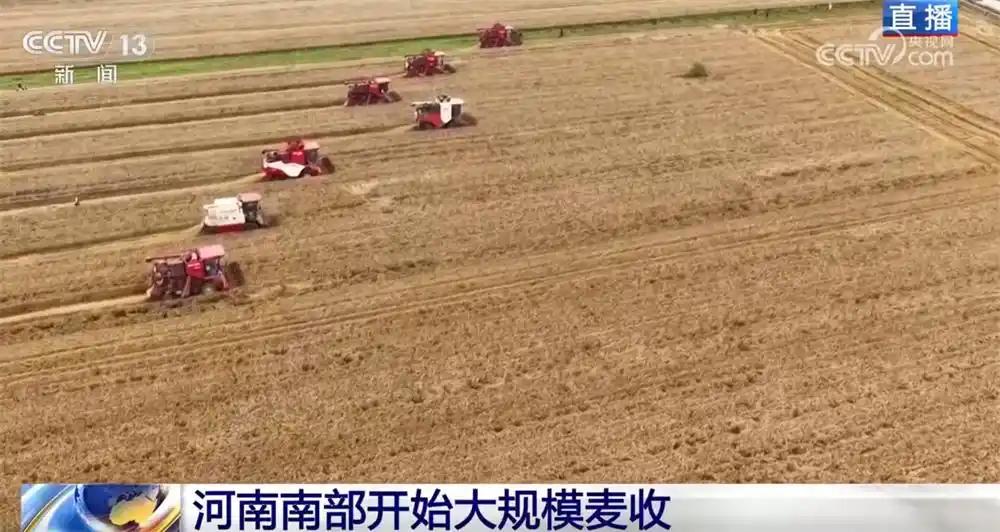 6月17日农业农村部数据显示，全国小麦收获进度达90.6%，累计收割3.1亿亩，