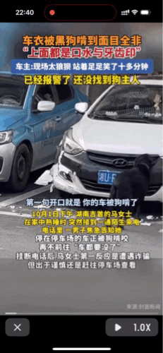 听说狗啃车了，真的笑不活了啊

湖南的马女士正在家里睡大觉，忽然接到一个电话，是