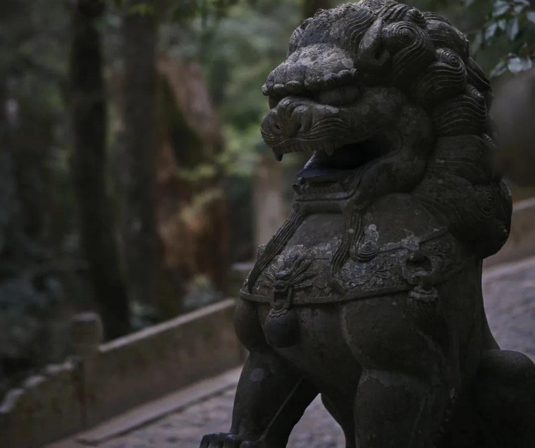 【琅河财经】只有穷人，才会痴迷技术；只有笨人，才会想着先把事做好！越是底层的人，
