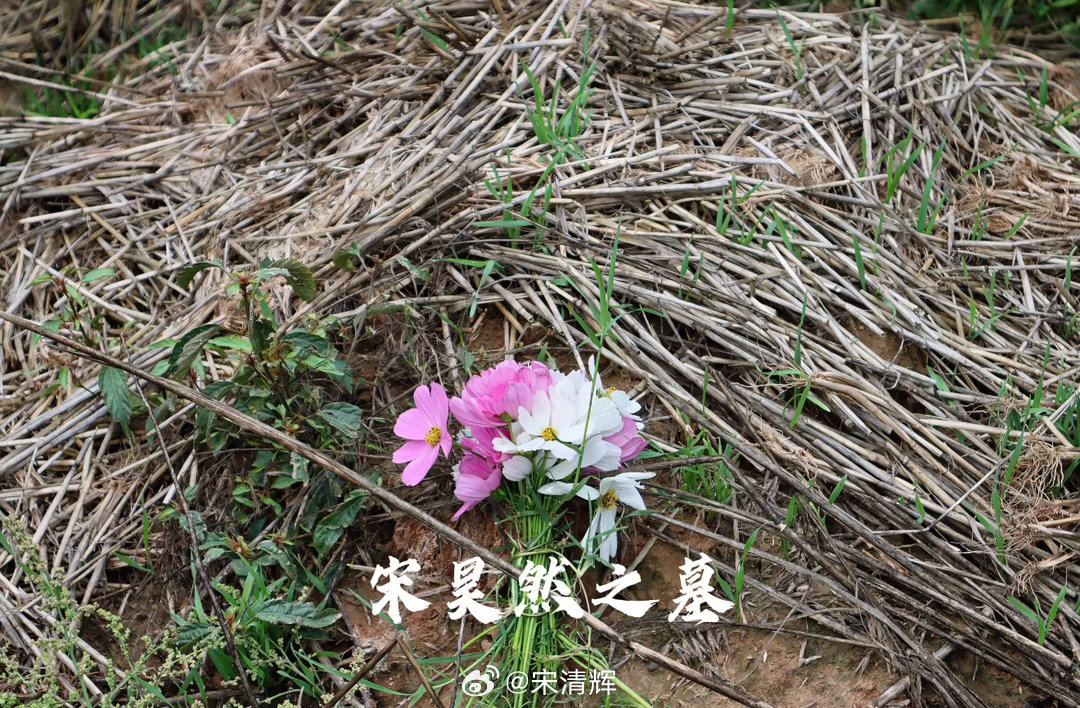 总在记忆里 （1589）：4月2日，许昌法院选择的一审宣判日子真好，孩子的坟茔都