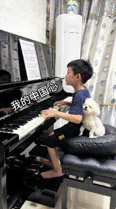 小男孩专心弹奏《我的中国心》，小狗狗紧紧靠在他的后背。哪里是单纯听曲子犯困，小狗