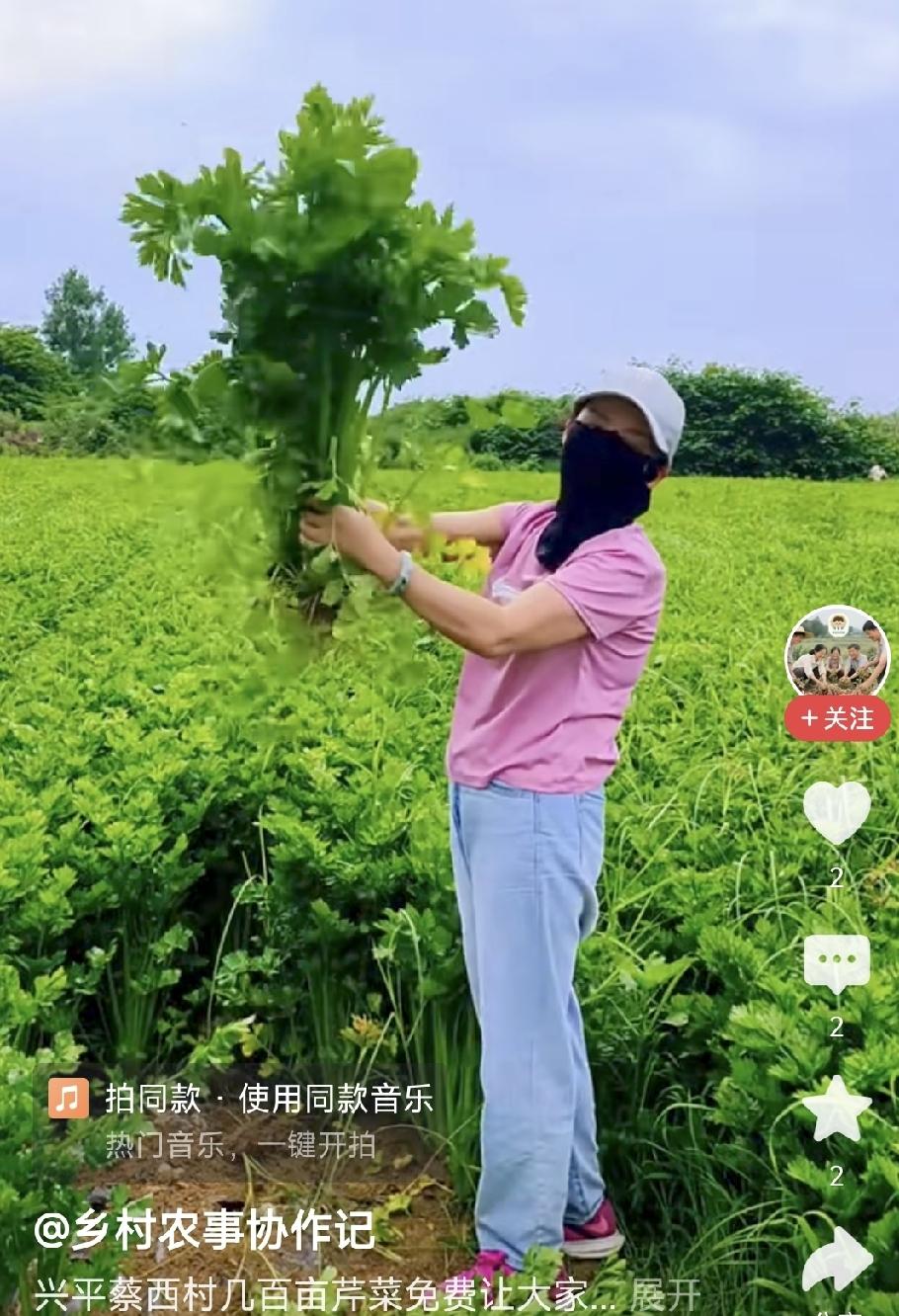 丰收的喜悦

清香淡淡
嫩绿脆脆
笑脸盈盈
（请补充一句）[作揖][作揖][作揖
