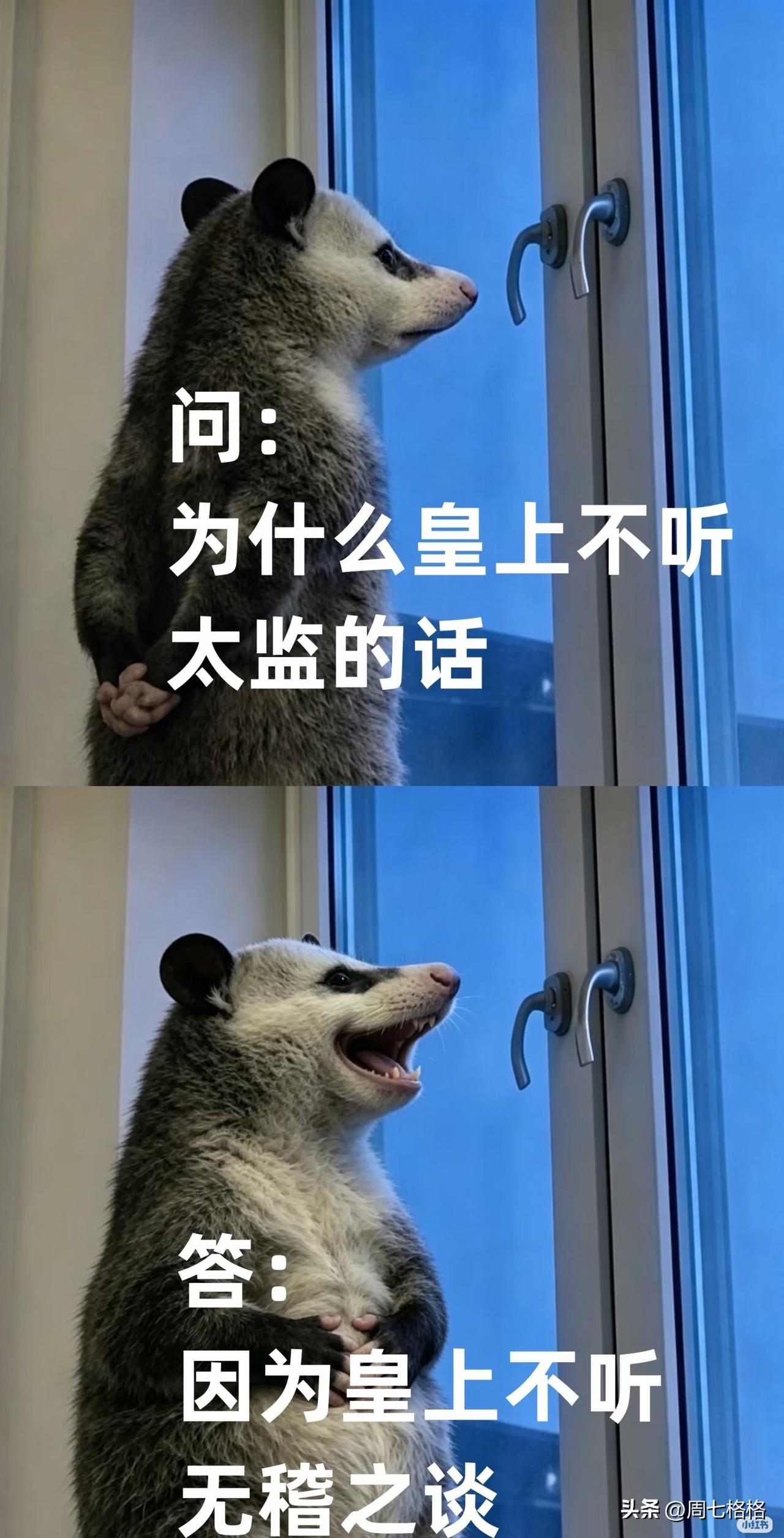 又到了摸鱼时间，继续搜集网上难绷的烂梗笑话