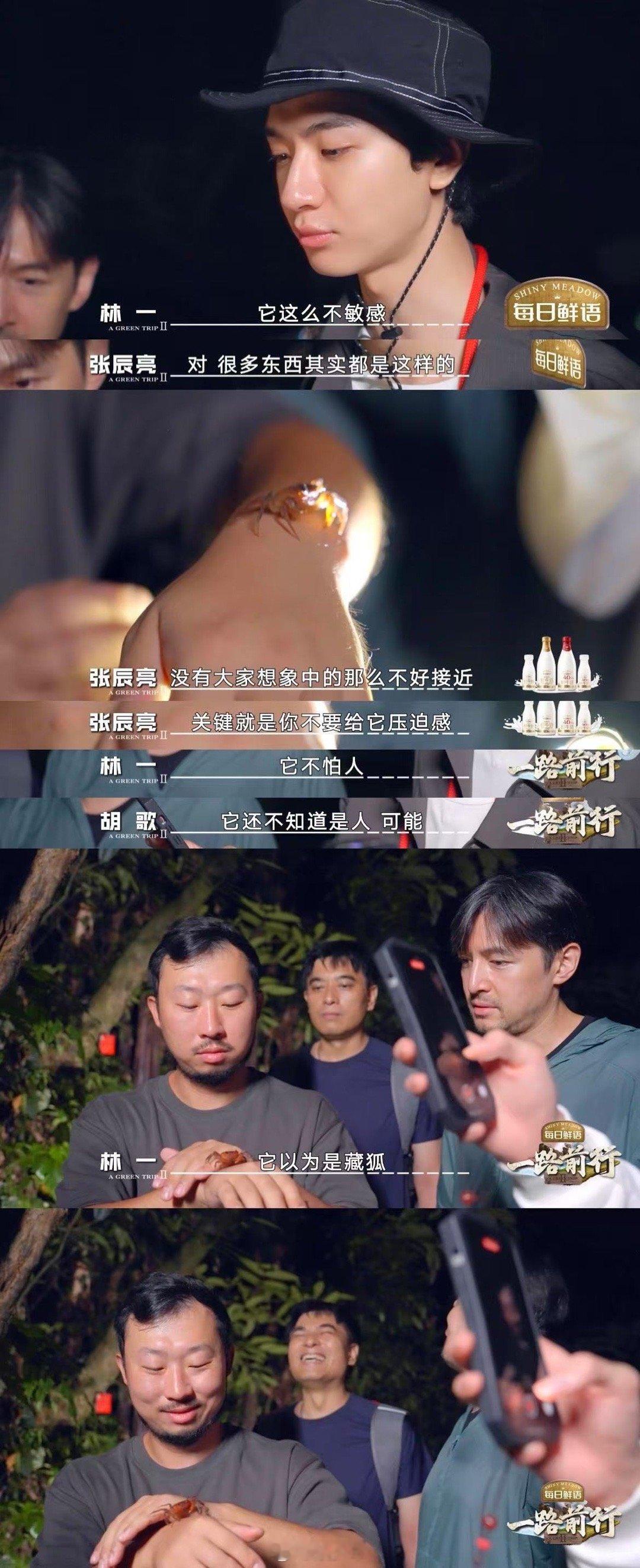 林一开口就是名场面 林一的脑回路太新奇！《一路前行》中别人沉醉种子的蓝，他问毒；