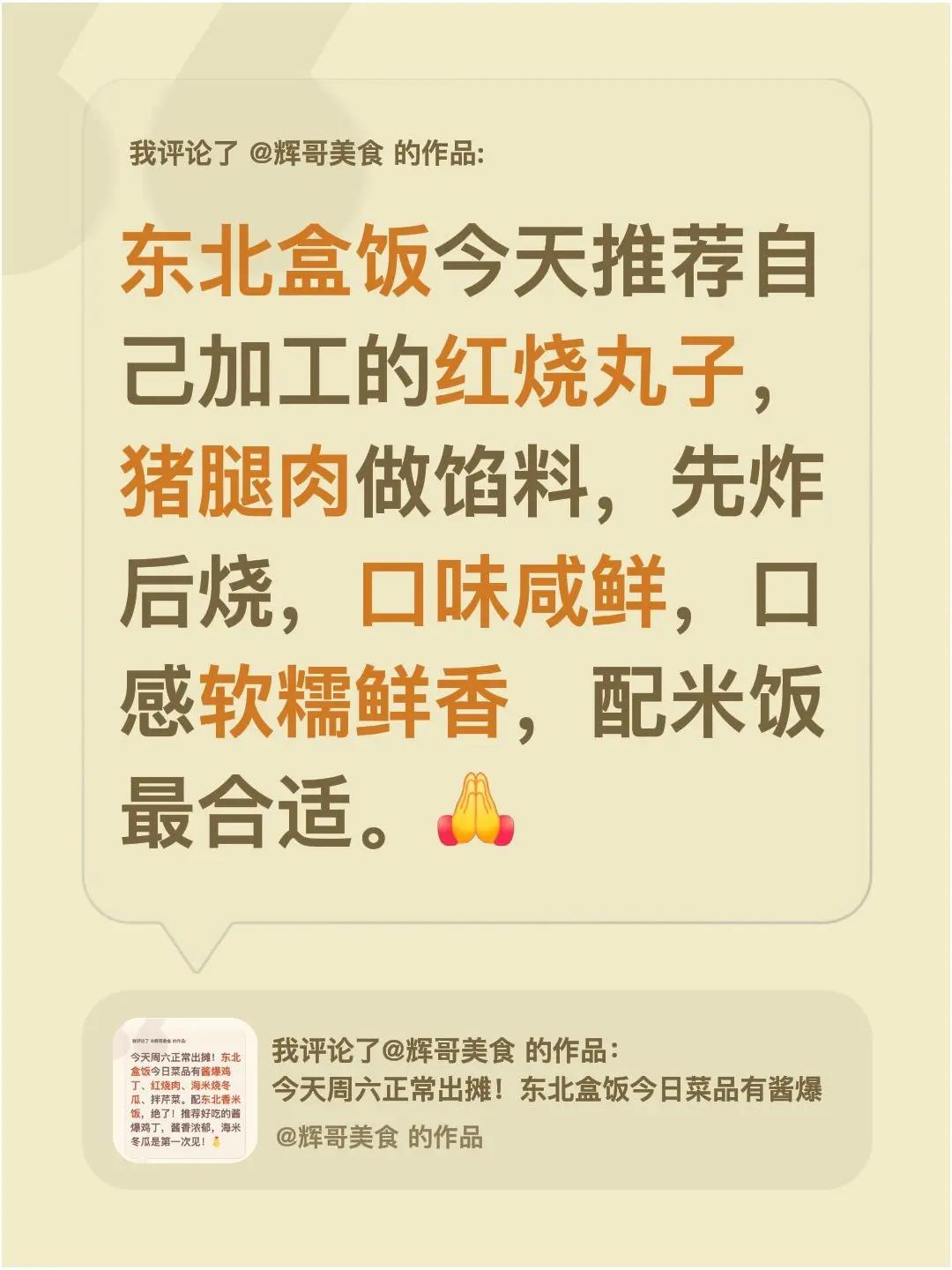 我评论了@辉哥美食 的作品：东北盒饭今天推荐自己加工的红烧丸子，猪腿肉做馅料，先