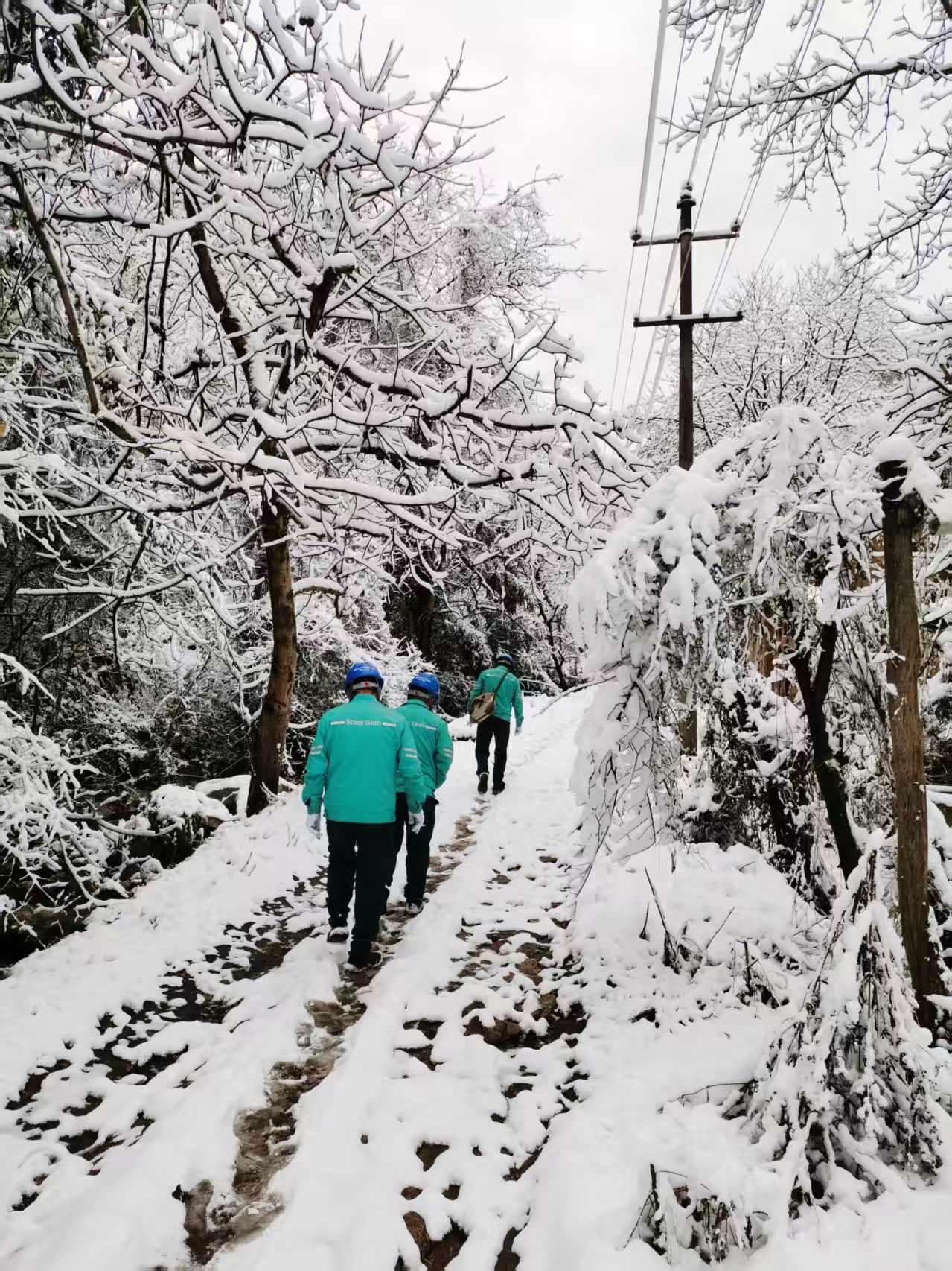 雪压线路急！国网长安供电抢通秦岭电网“生命线”
11月17日，秦岭深处寒风凛冽、