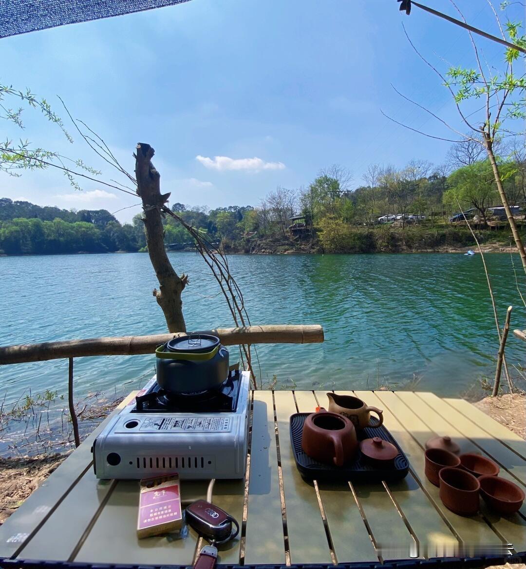 春日生活打卡季