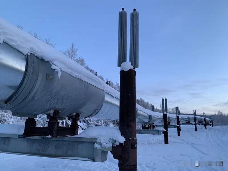 中东油价狂飙🔥，拉夫罗夫访华送“定心丸”。俄方承诺补能源缺口，中俄陆上管道稳供