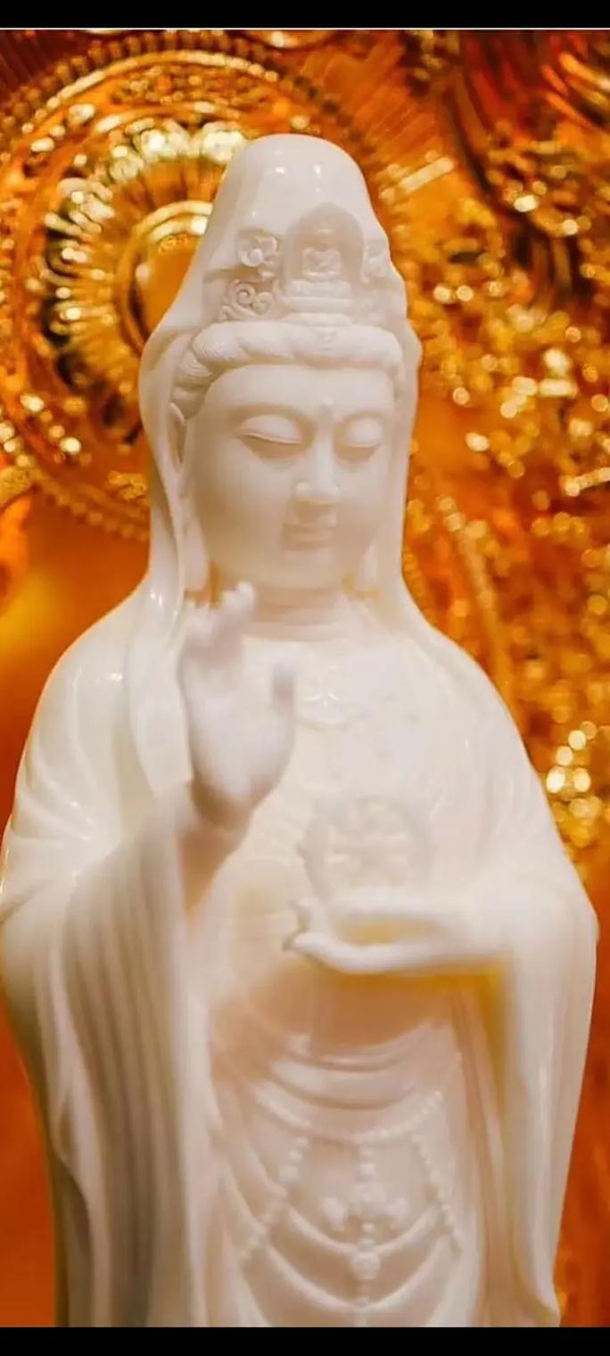 今天是公元2024年6月5日，农历四月二十九，星期三
我们生活在这个世界上，处处