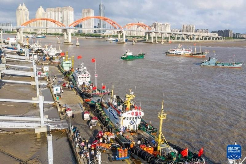 笑掉大牙！外媒造谣中国渔船东海搞 “军事行动”，老渔民一句话当场戳穿谎言
二零二