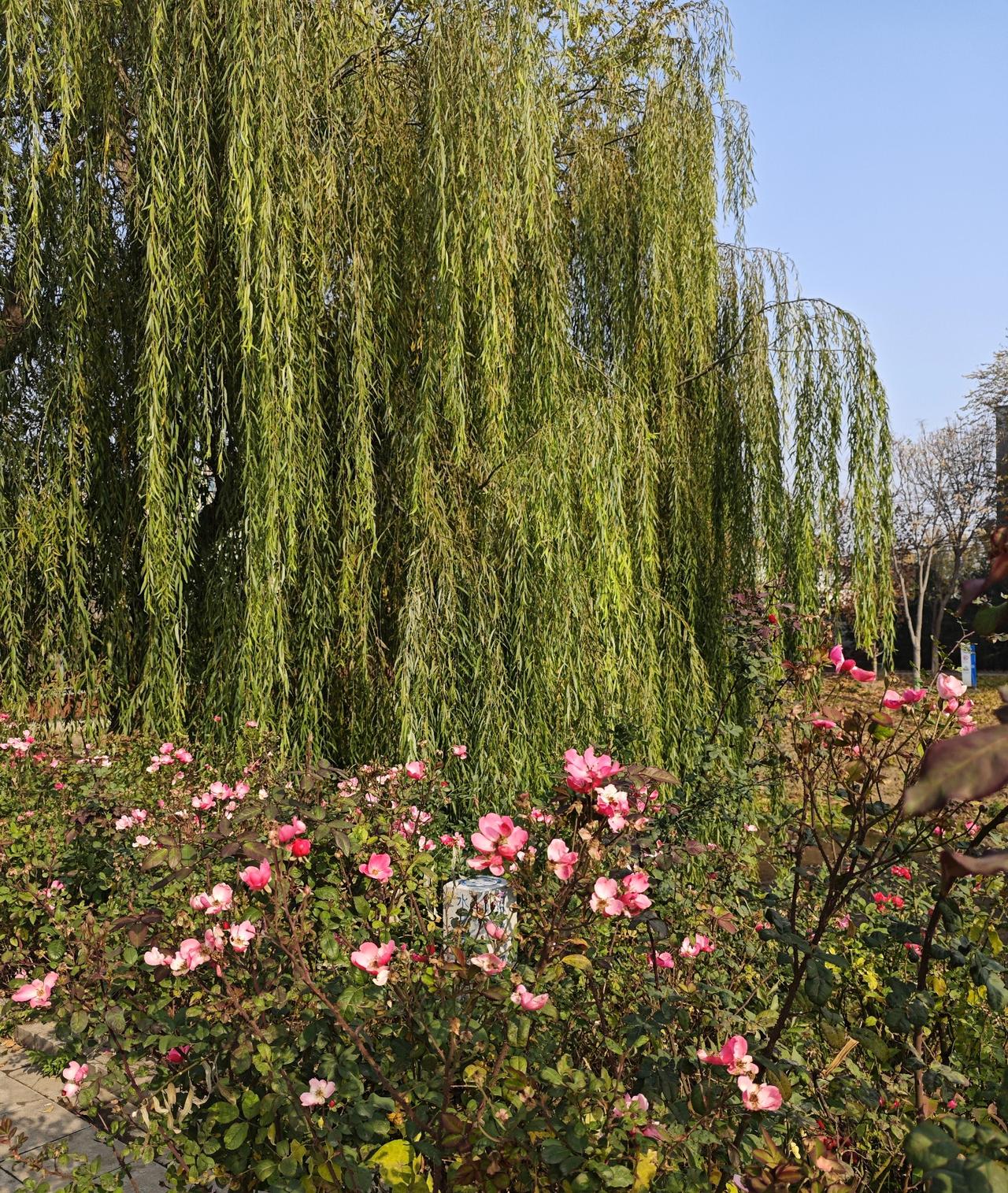 家人间少点抱怨，多点暖心话语；少点冷战，多点主动沟通。柴米油盐里有温度，大事小事