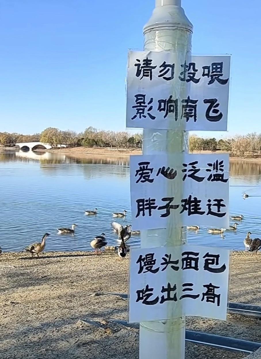 哈哈哈哈， 这是点谁呢？ 