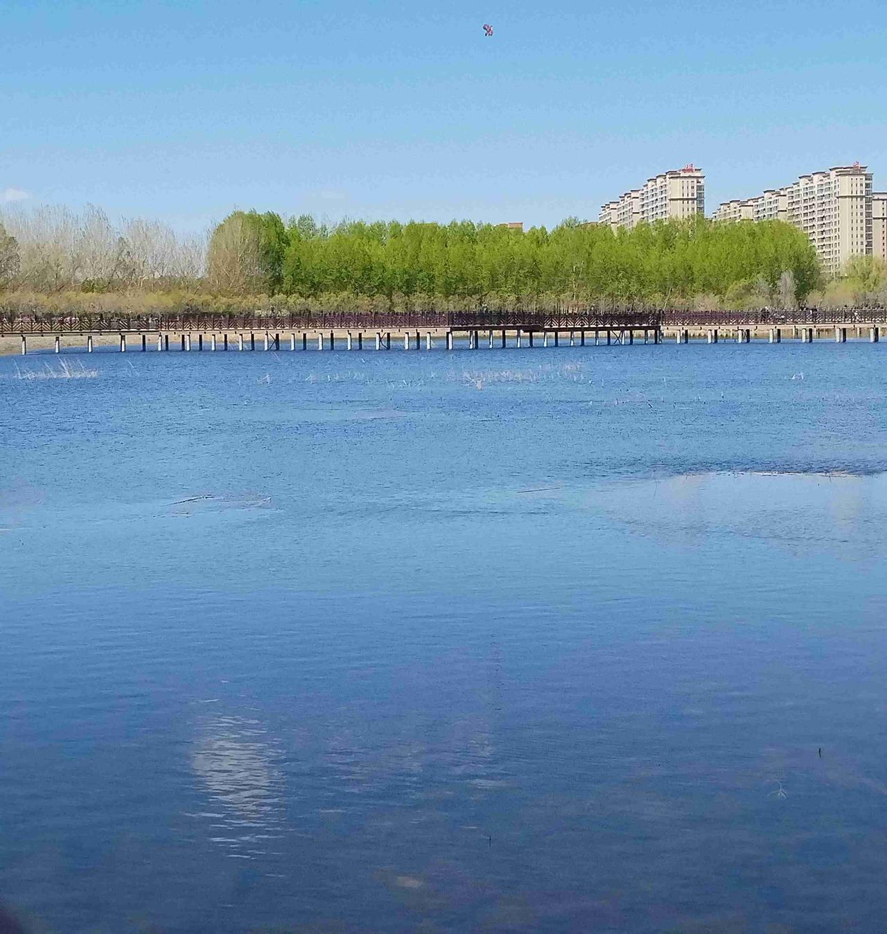 我的今日状态：😁轻松愉快
我这里的天气：☀️晴天
这里是黑龙江省肇东市南湖公园