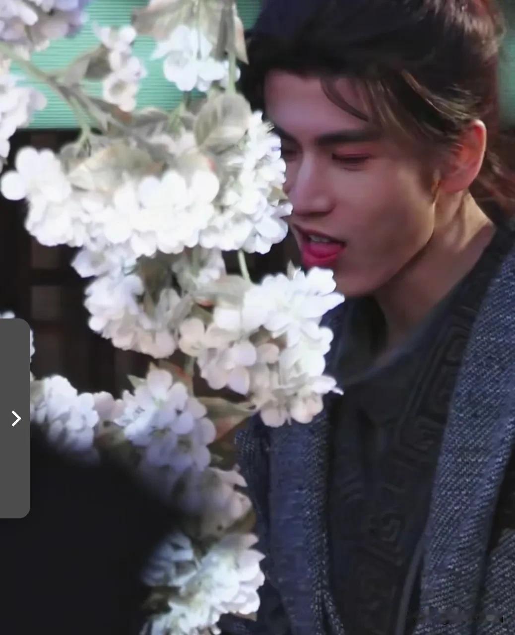 张凌赫都帅成啥样了，
蜜蜂做了我们一直想做，
又不敢做的事情，
画面一只蜜蜂直接