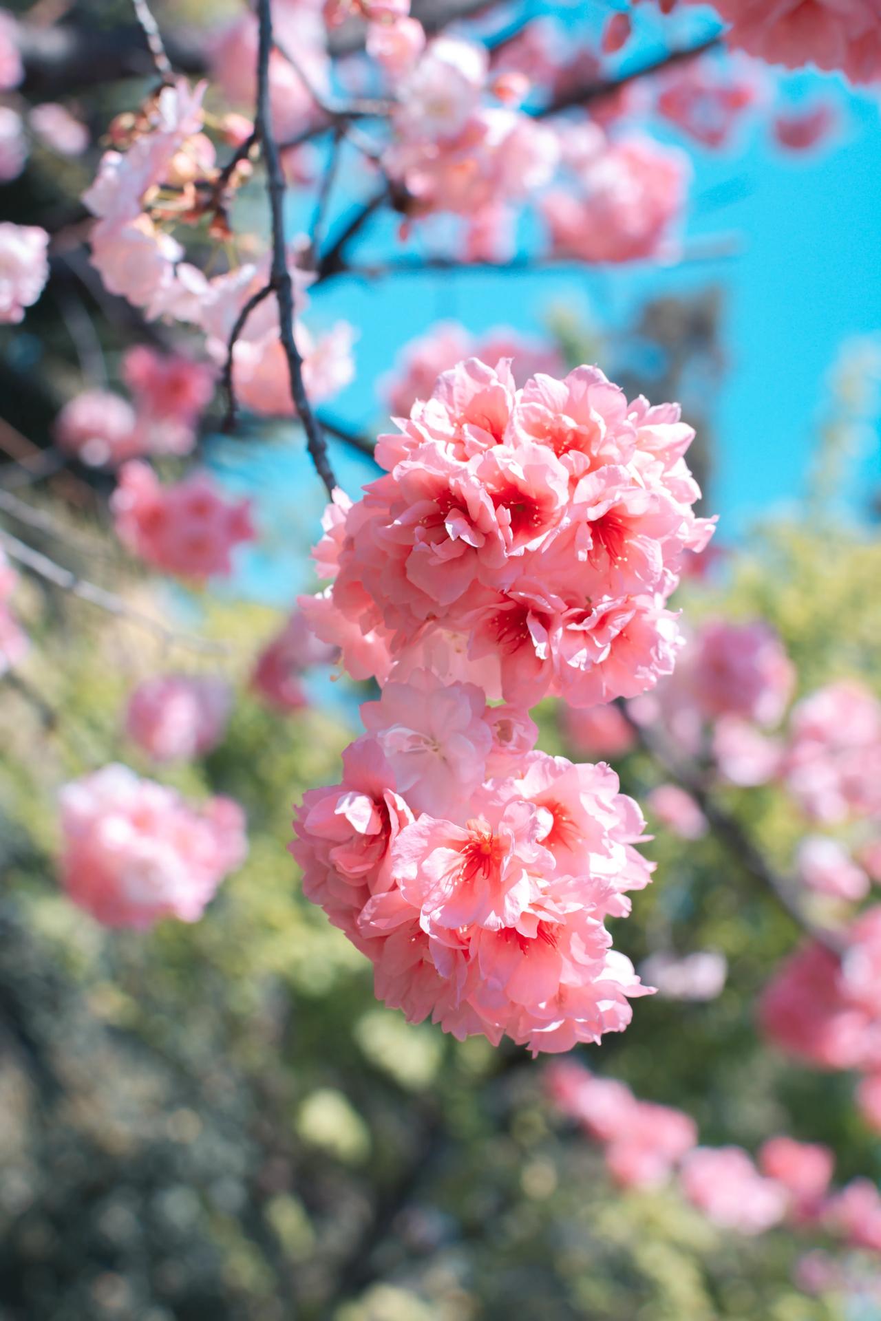 焦虑，浮躁，是现代普遍现象。我们所有人迷失了方向，自己天天抱着宝贝，却一直向外寻