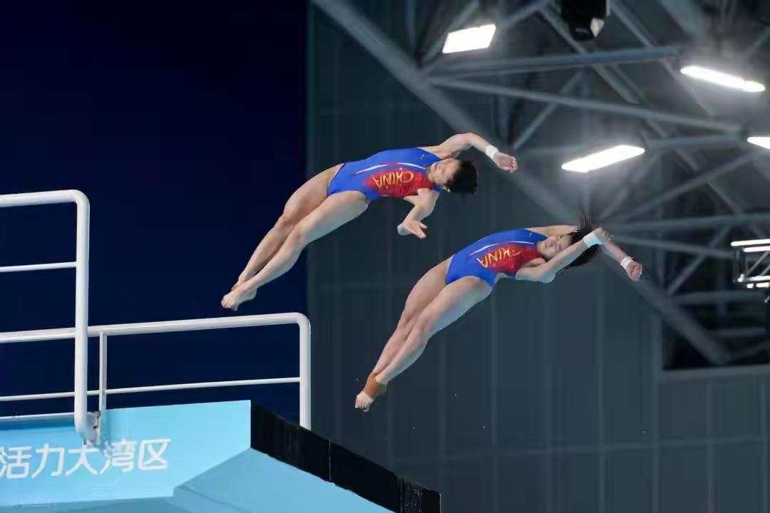 全运会跳水-陈芋汐/掌敏洁问鼎女子双人10米跳台 全红婵组合获第五
11月6日下