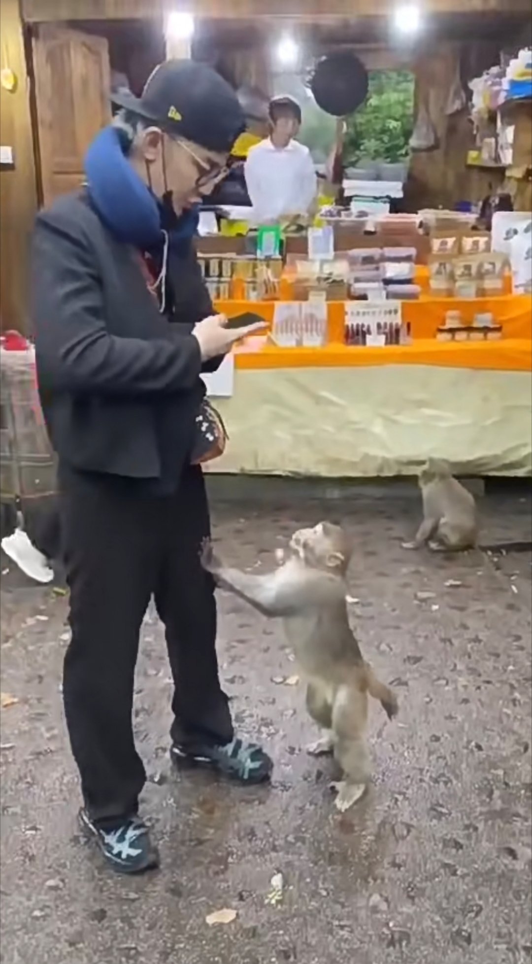 分享图片 