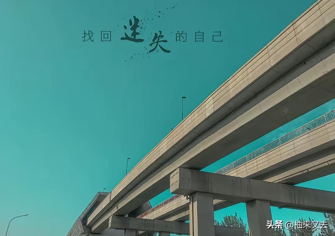 现在的行情，只要懂得往低位切换，一直到7月底大概率都是赚钱的，机会都在这个方向，
