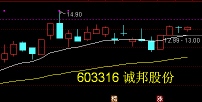 603316 诚邦股份——生态环境+半导体存储双主业诚邦股份成立于1996年4月