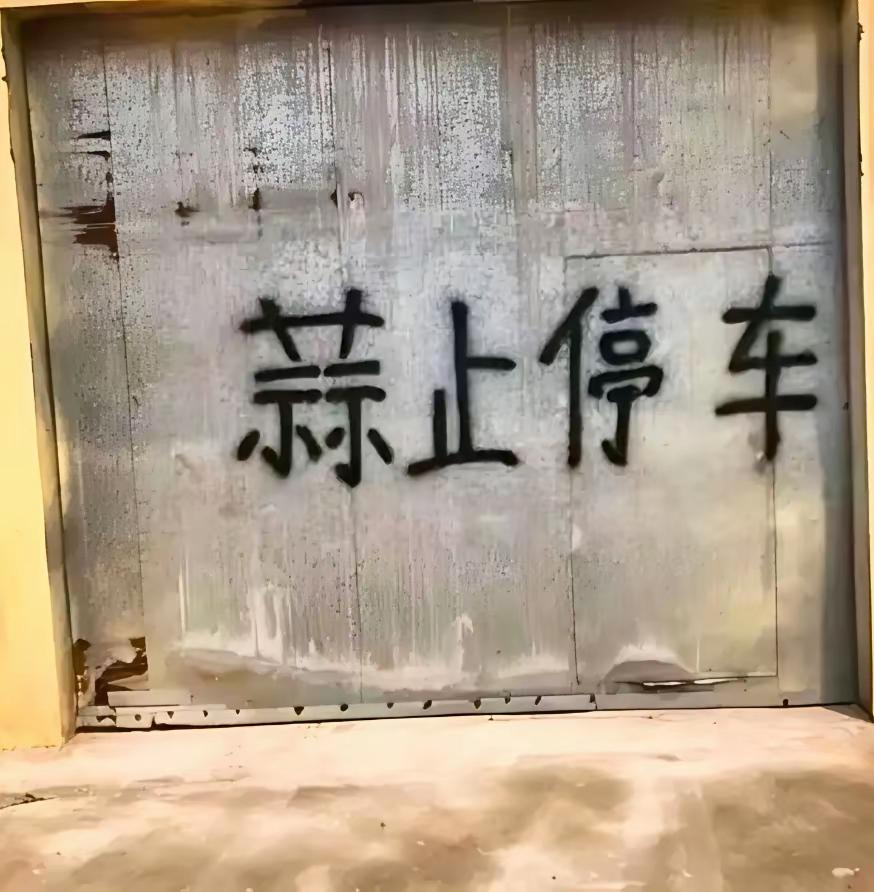 不要挑毛病，没错！你敢停车，会给你的车喷蒜汁的，所以叫蒜止停车！比禁止停车高一个