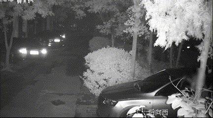 事发滨州西区一小区！多辆车胎被扎！是他

近日，山东滨州经开区公安快速侦破一起故