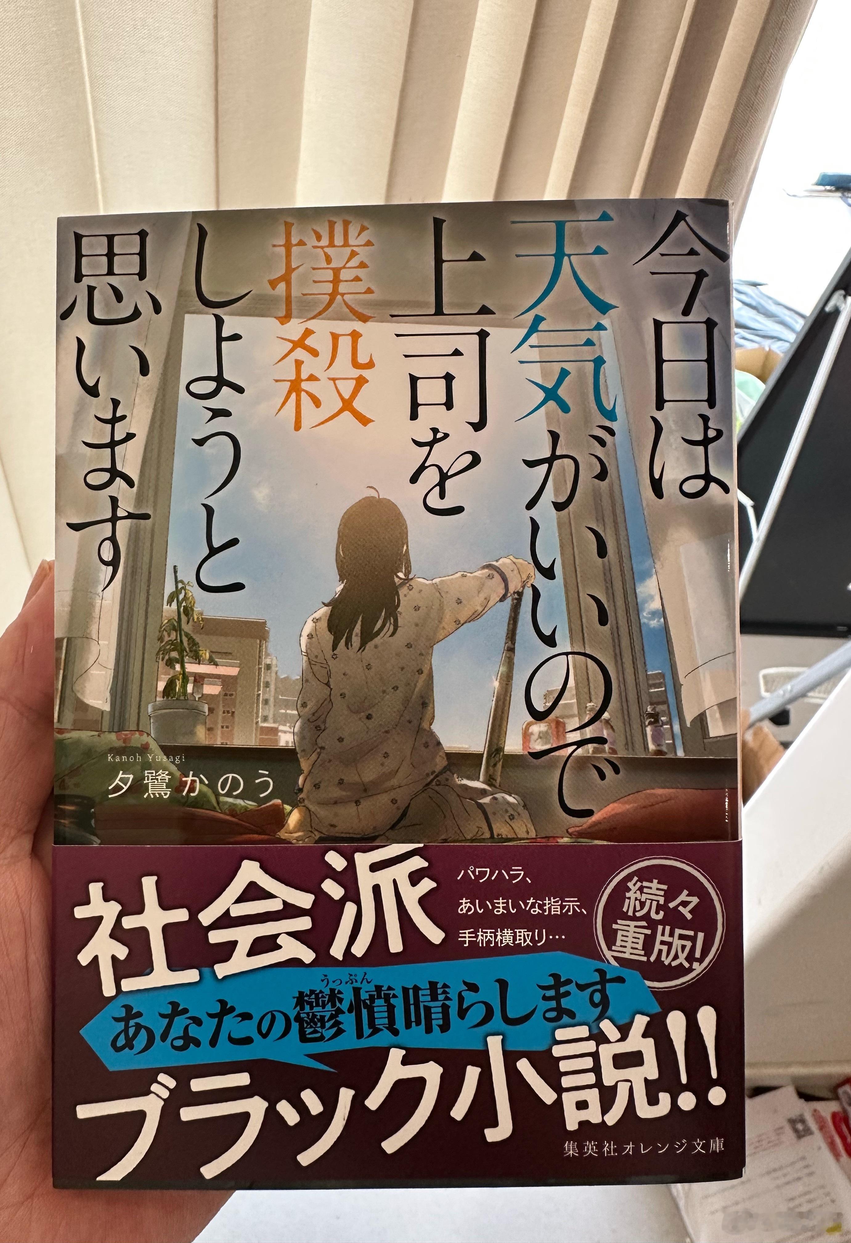 今天天气不错，适合在上司面前看这本书。哦，不对，公司上司现在只剩我自己了～ 