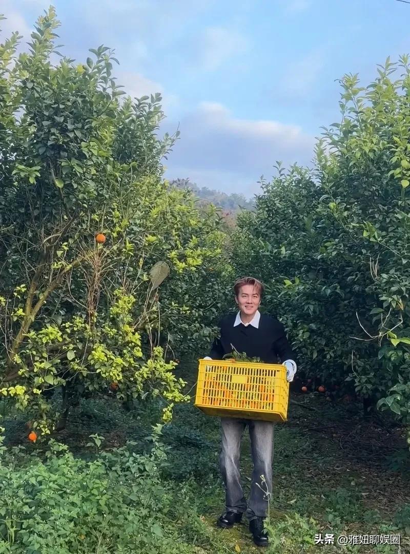 吴克群又来广西摘橘子卖橘子啦。有些网友说吴克群是和广西签了什么定点帮扶协议吗？一