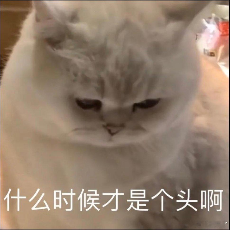 超实用的有字表情包 