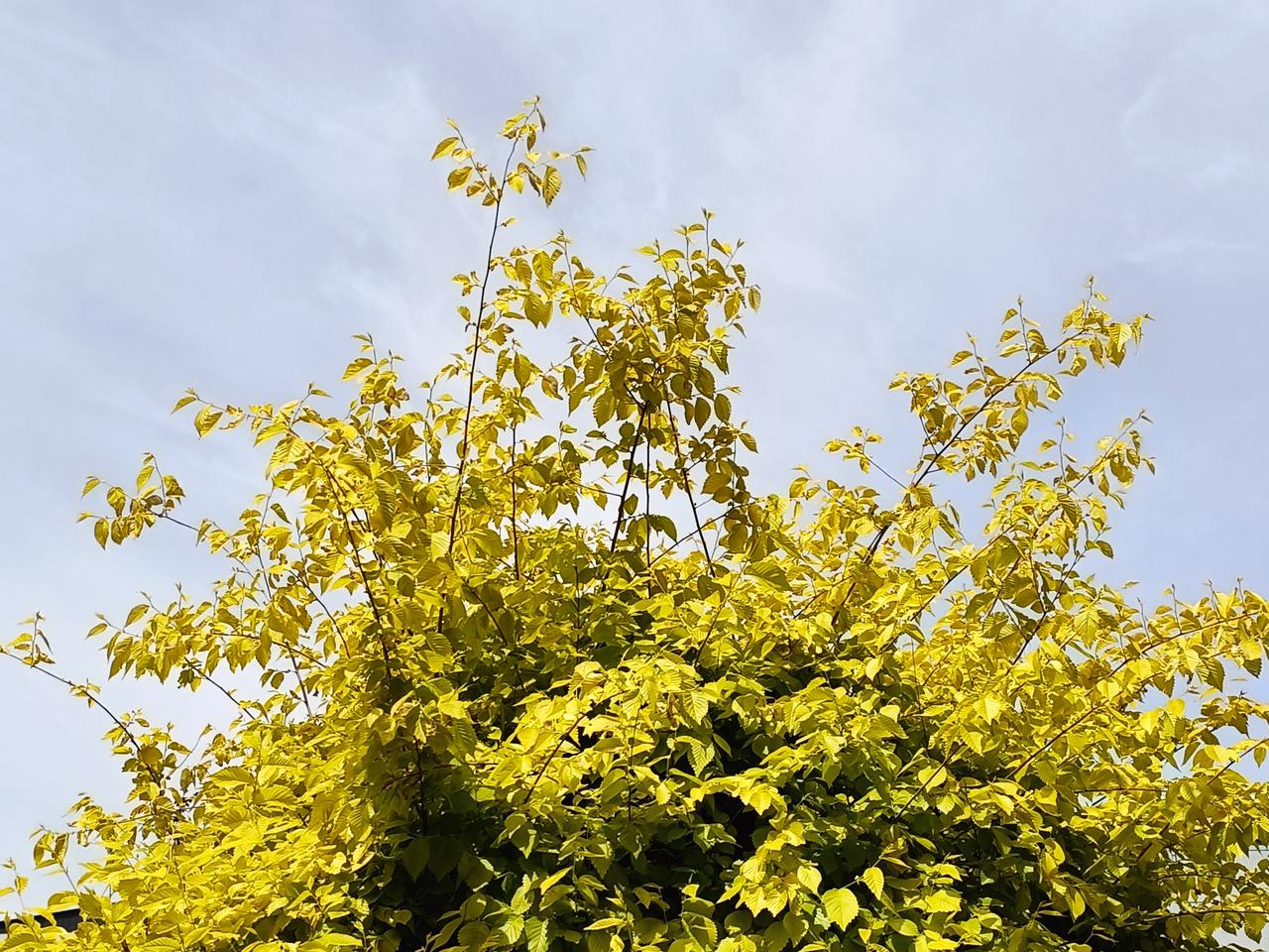 但行好事，莫问前程。
人间烟火，平凡生活，总有磕磕碰碰，只要三观正，人怀美好，总