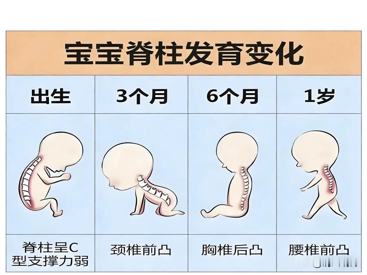 专家提醒父母，小心这4个“日常动作”正在悄悄伤害宝宝脊柱，快看你中招没有？

每