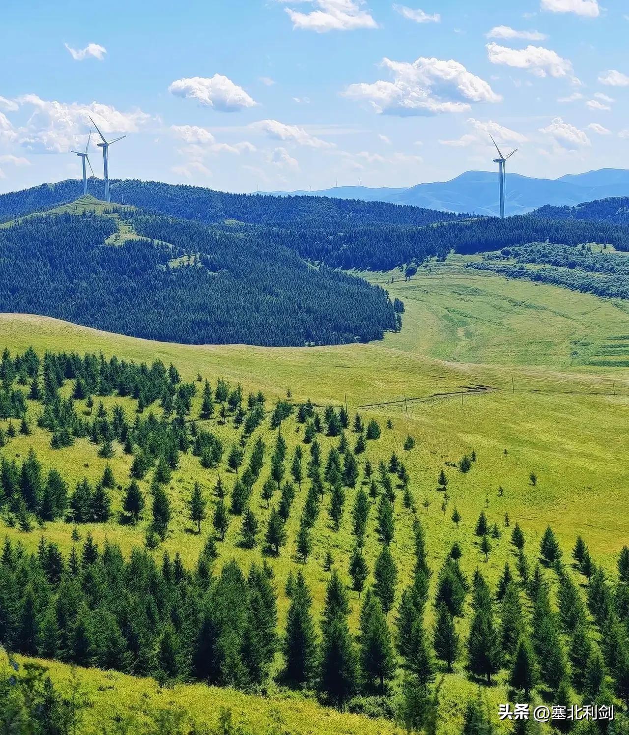 张家口坝上沽源，风景优美，气候凉爽，旅游资源丰富，张承高速、二秦高速、苏张高速从