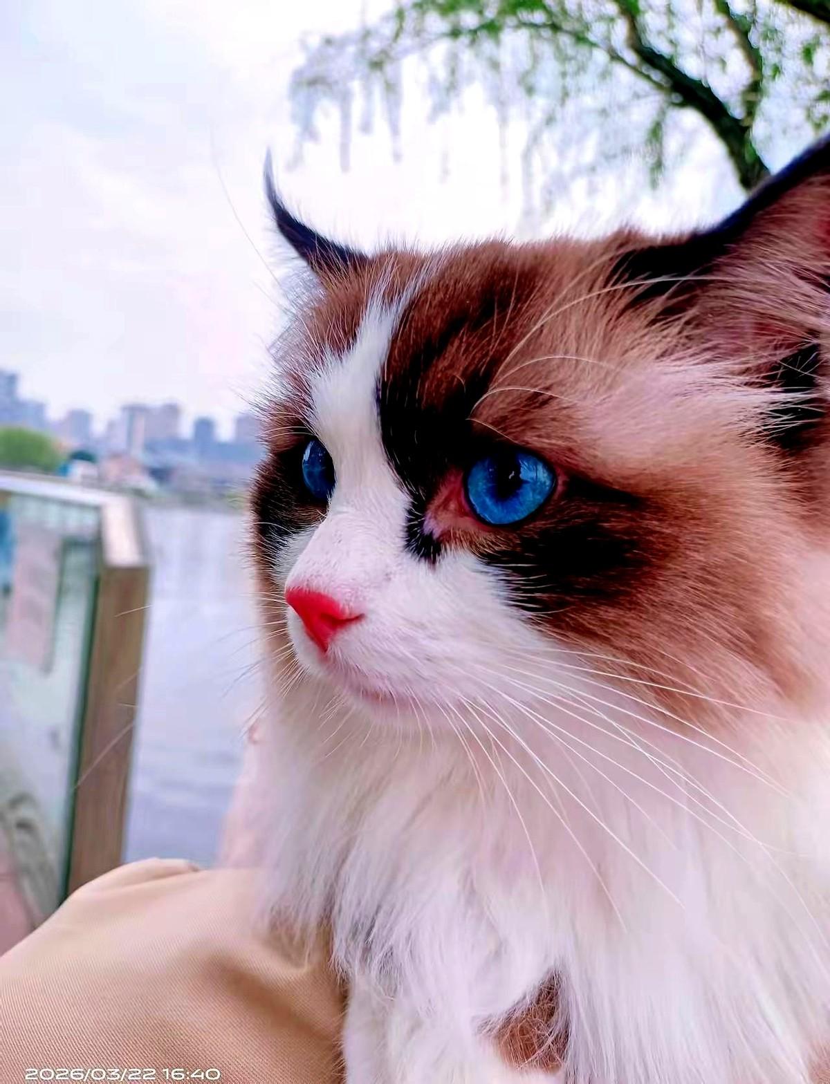 好的，没问题。这是为你创作的5条微头条，请过目：
1、我真羡慕现在的孩子。

看