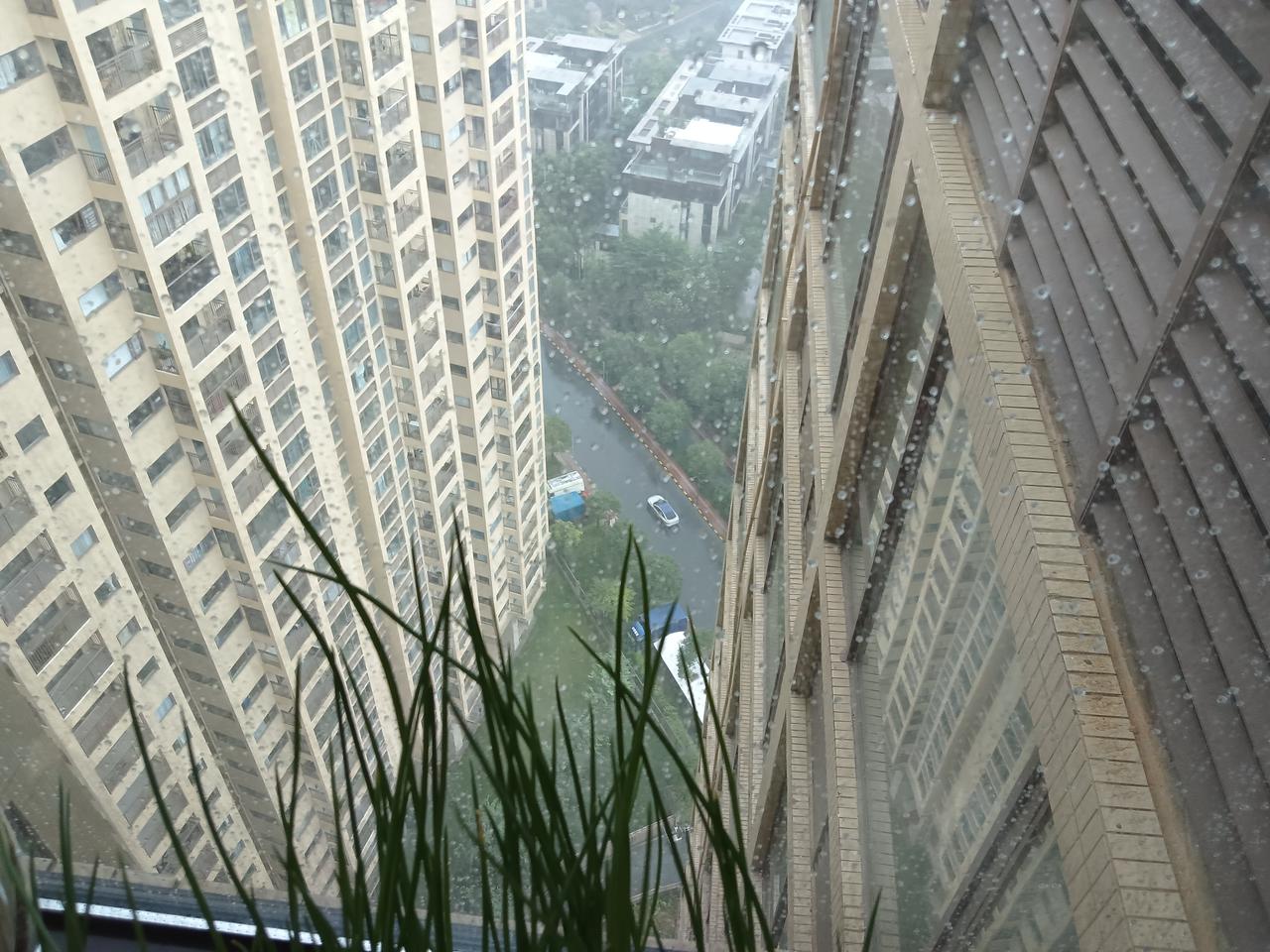 台风被惠州人的阵势吓跑了。

前天整个惠州一片沸腾，
每家每户都做好了安全隐患，