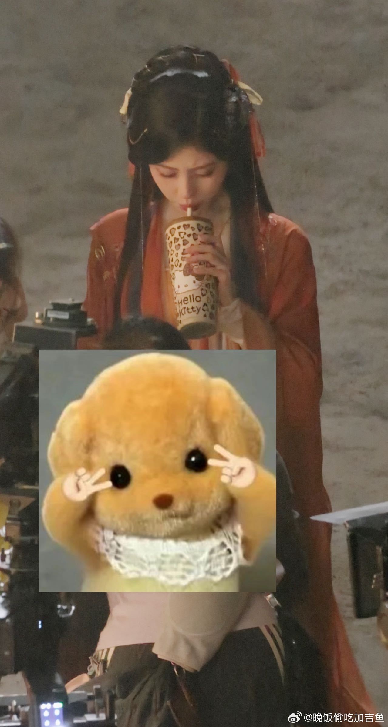 小猪喝水 