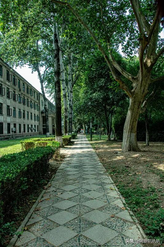 我见过最好看的女孩背影，是清瘦高挑型的。她身姿挺拔，气质清冷，走路自带氛围感。