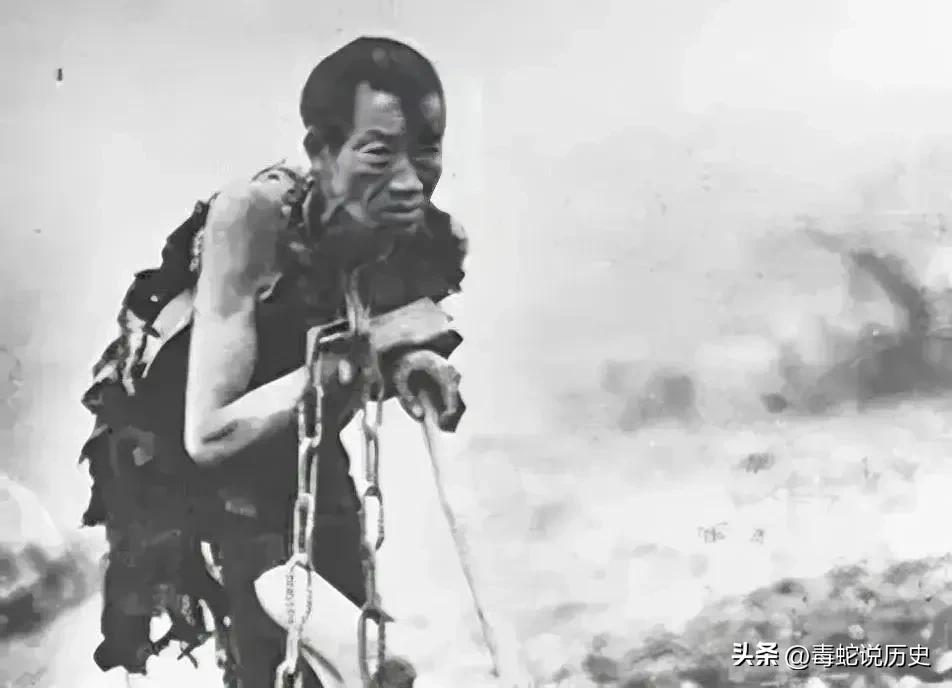 红军营长被青海西宁牧民扣押为奴隶
1950年青海西宁解放路两旁的商铺已挂上崭新的