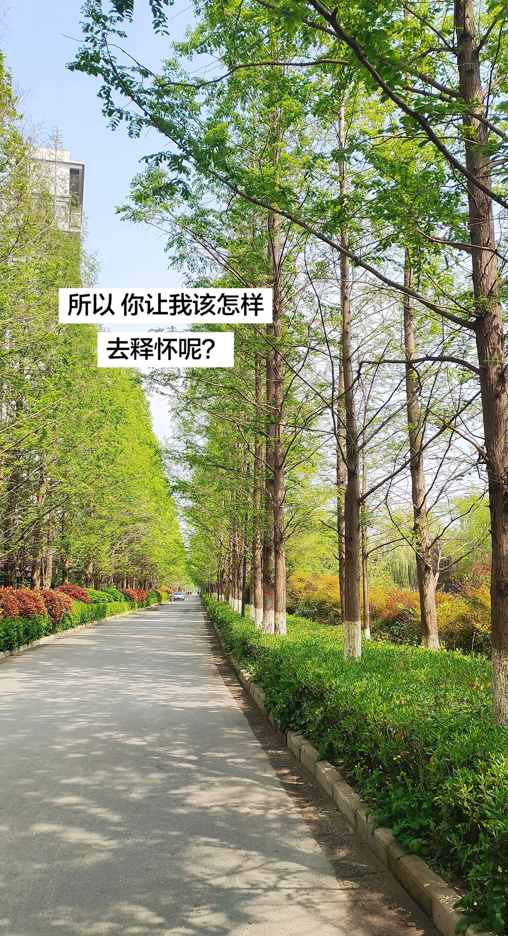 就这样吧 往前看 往前走 别回头。解不开的心结，接受不了的现实，却又无...