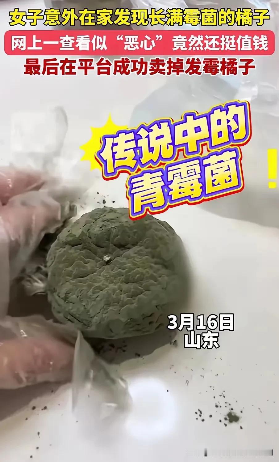 网传山东某女子买的橘子发霉了，然后挂网上卖了几百块！
天哪，大家可算是找到新商机