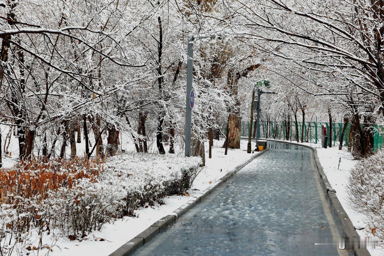 南湖公园四季掠影（七）
冬季景色：