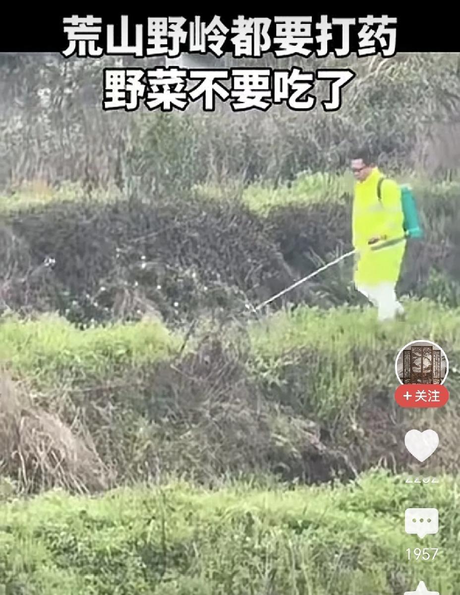 荒山野岭竟然喷起了农药？
这到底意欲何为？看了有点让人细思极恐！
有人拍摄到在荒