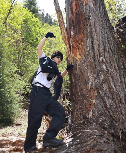 白敬亭 看到了日照金山这也看的太舒适了！白敬亭拍的这些旅游照真是每一张都非常好看