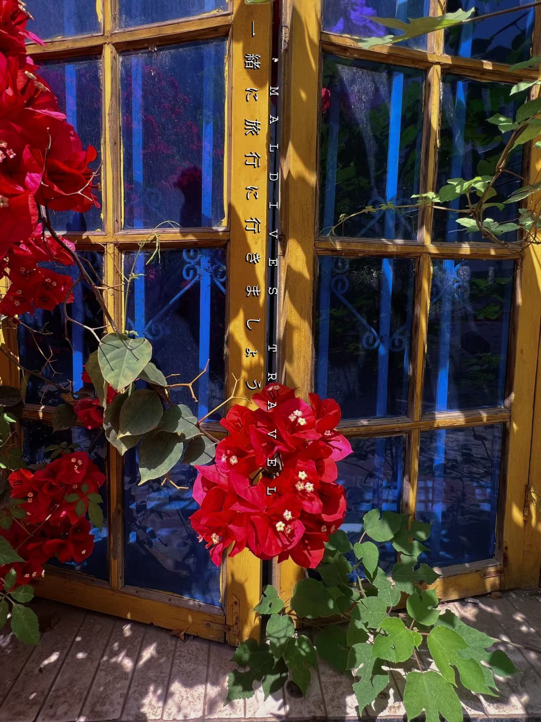 #旅行[超话]#遇见了喜欢的花🌸，遇见了爱的人，过上了幸福的生活，一切都是那么
