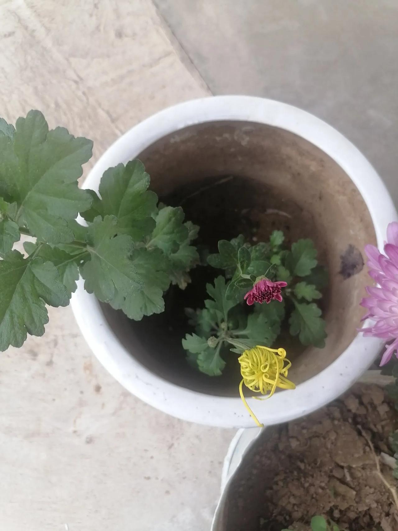 #秋日生活记录#