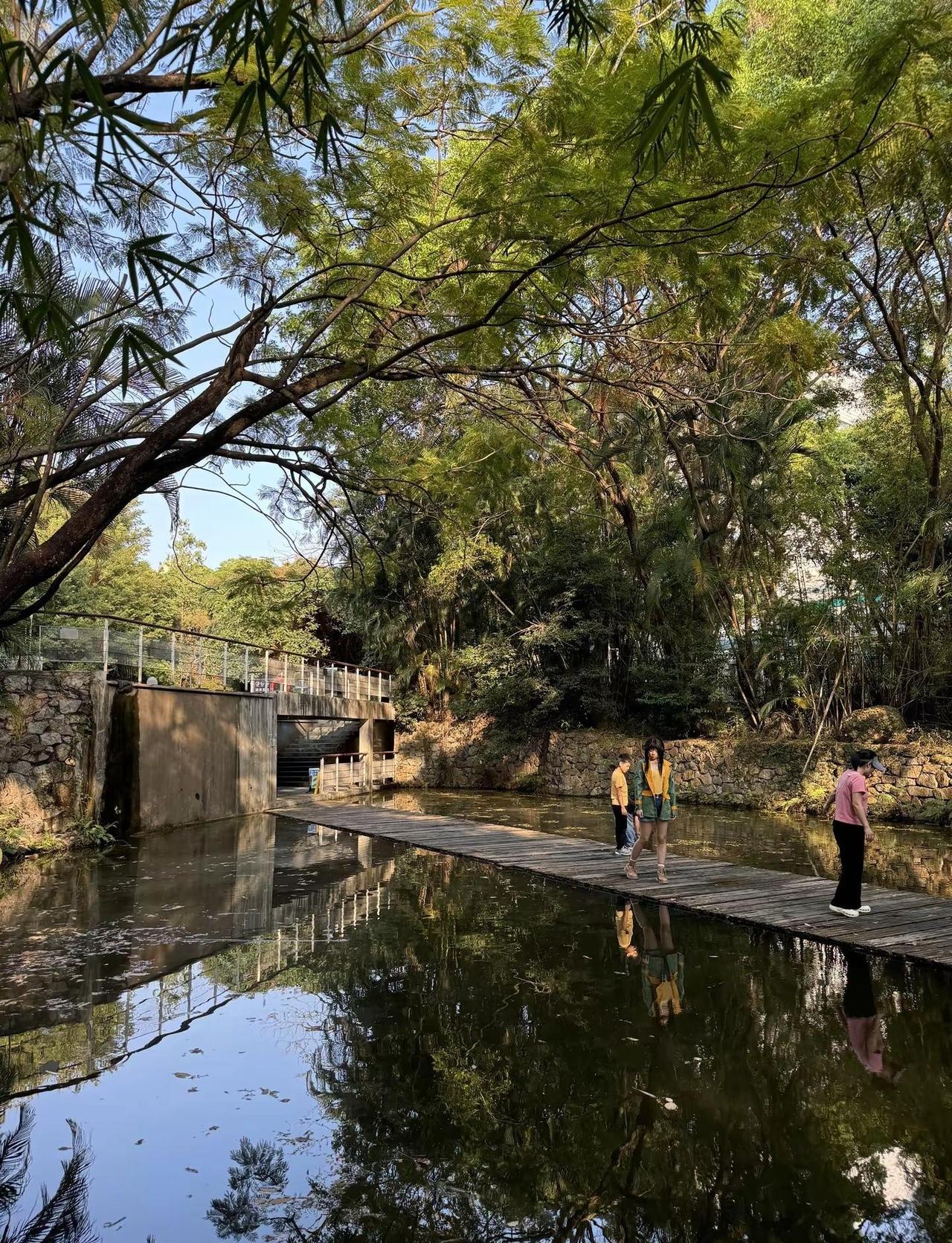 燕晗山郊野公园｜藏在华侨城的绿野仙踪。免费还地铁直达，1号线华侨城B口出来走5分