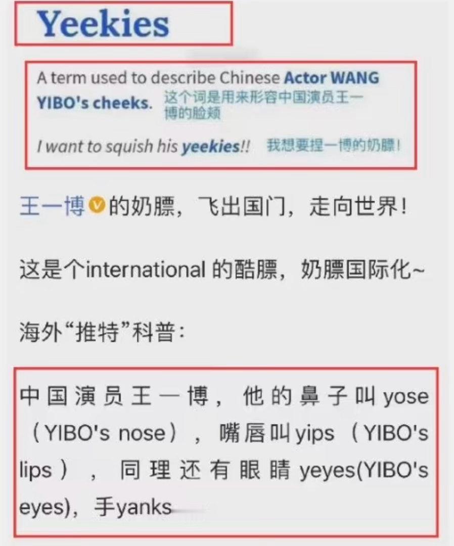博儿专属名词太多了奶膘、王一博的五官在海外都有专属英文～ 国内独一无二的梗也很多